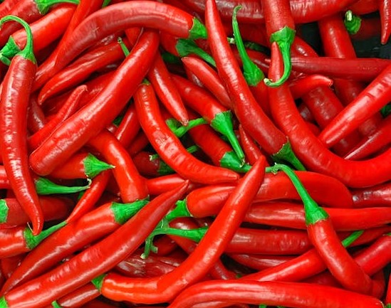Hot peppers | Vego Garden