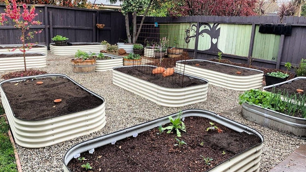 How Deep Should Raised Garden Beds Be | Vego Garden
