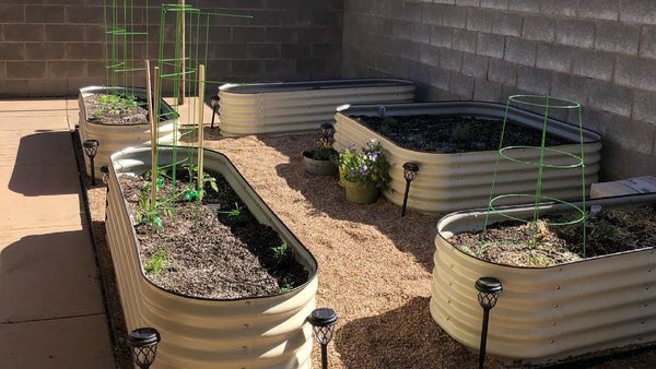 How Much Soil Do I Need For A Raised Garden Bed | Vego Garden