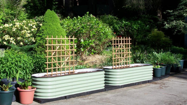 How to Build a Raised Garden Bed & Garden Boxes | Vego Garden
