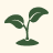 Ideal for all plant stages