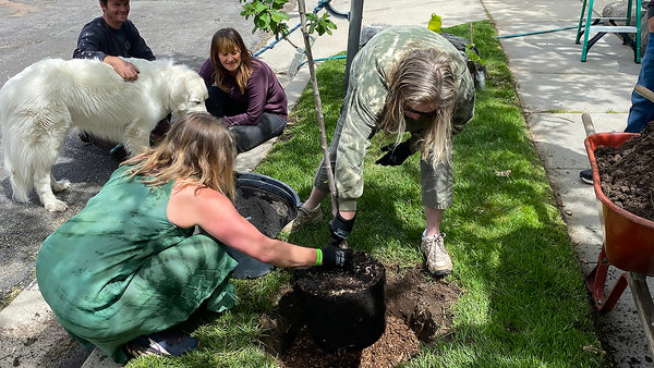 planting-trees-mothers-day Mother's Day Memories Part 3 | Vego Garden