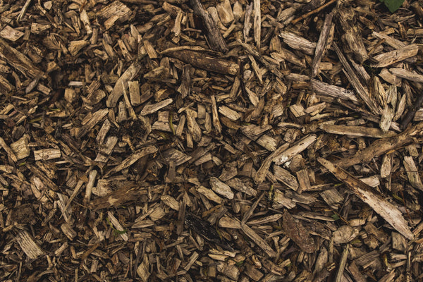 What is Mulch? Here's Everything You Need to Know! | Vego Garden