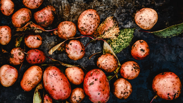 How to Plant Potatoes | Vego Garden