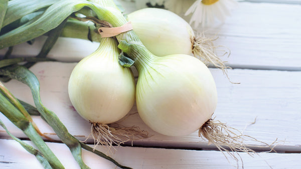 How to Grow Onions | Vego Garden