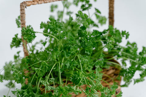 Popular Herbs with Medicinal Properties | Vego Garden