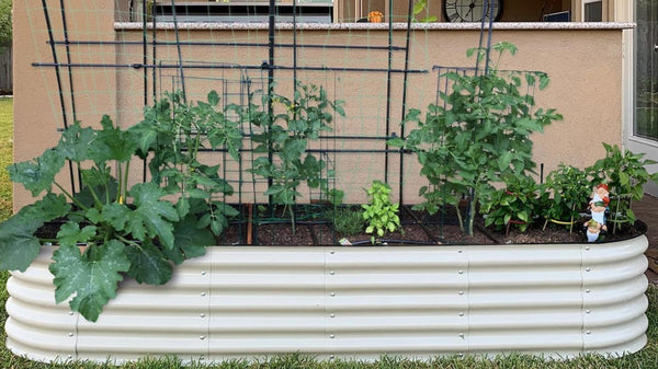 Vegetable gardening in raised beds | Vego Garden