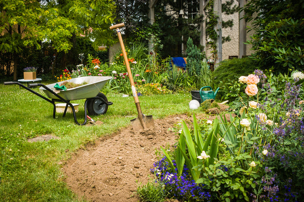 In-Ground Garden Bed