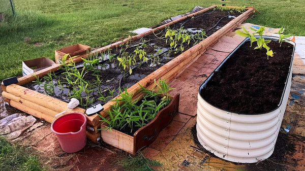 The Best Raised Garden Bed Options For The Backyard | Vego Garden