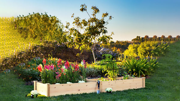 The Best Raised Garden Bed Options For The Backyard | Vego Garden