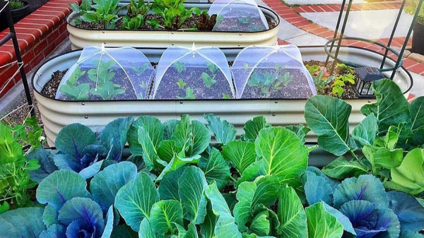 The Best Ways to Utilize Modular Garden Beds | Vego Garden