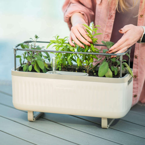 vego-garden-Self-Watering-Herb-PlanterBox-with-Trellis-lifestyle