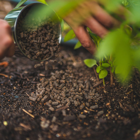 vego garden fertilizer