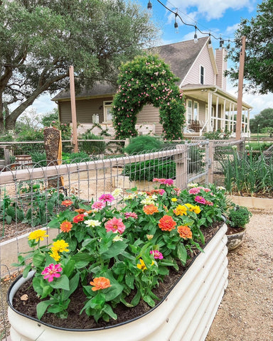 garden bed