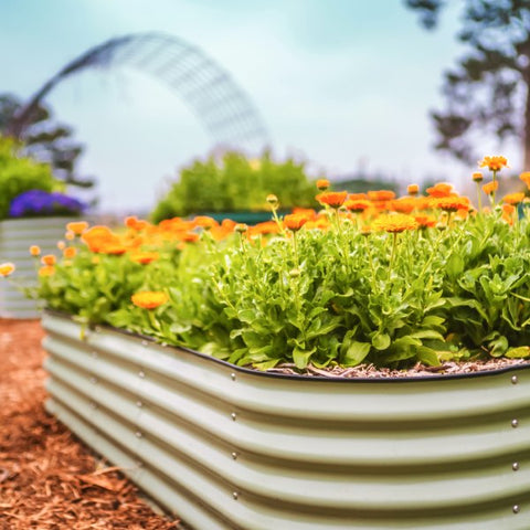 garden bed