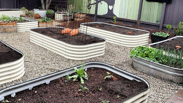 Maximizing Space with Birdies Metal Raised Garden Beds