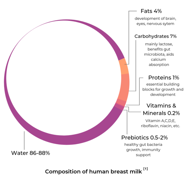 breastfeeding stats