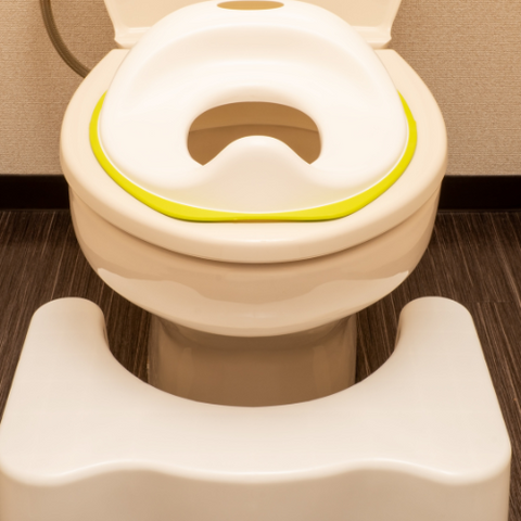 squaty potty