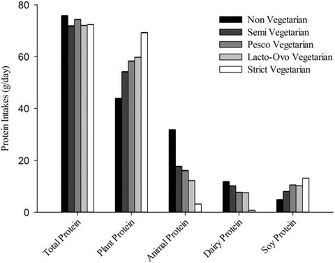 Plant protein