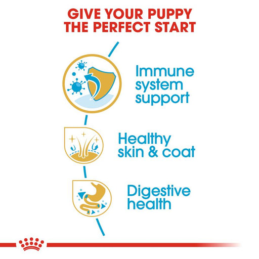 Royal Canin Golden Retriever Dry Puppy Food - Targa Pet Shop
