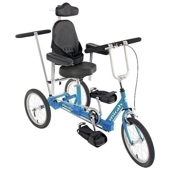 special needs trike