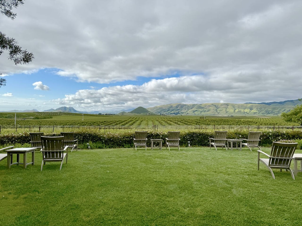 The view of a vineyard from Edna Valley Vineyard