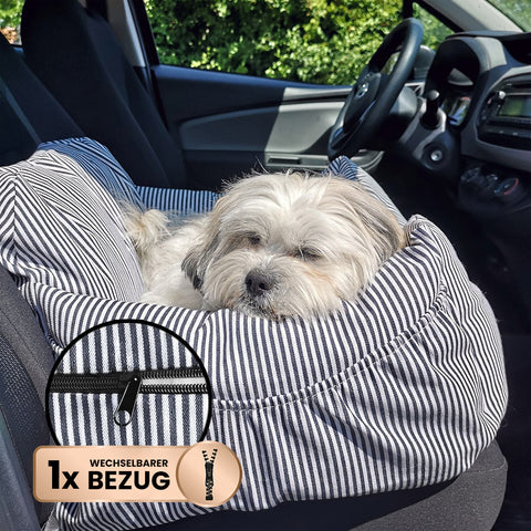 Kofferraumschutz für deinen Hund - Die Besten!
