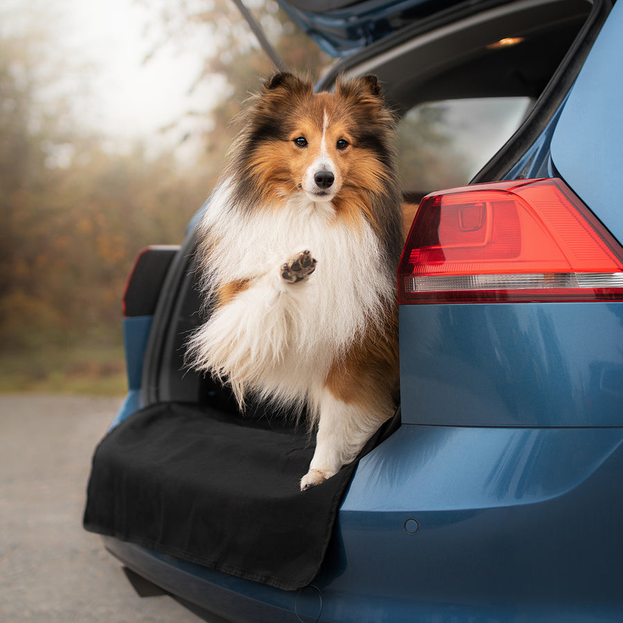 DOGMONDO Auto-Sicherheitsgurt 3-in-1 für Hunde mit Rückdämpfung  (Anschnaller)