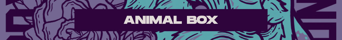 banner diseño animal box