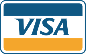 visa icon