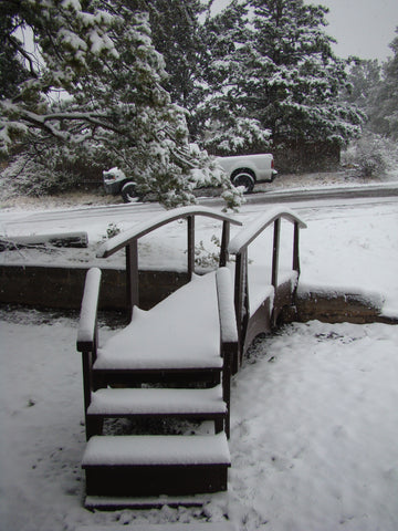 Curved Arching Bridge built by my dad, Rawlyn Richter, in the last year of his life Shiloh Richter