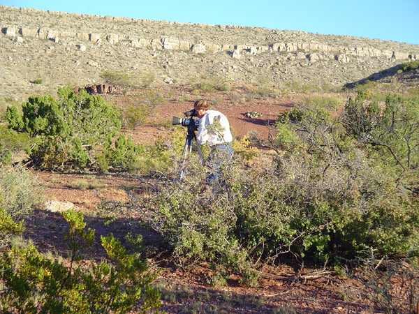 Dad Rawlyn Richter filming Wild Horses for Road to El Paso in New Mexico November 2005
