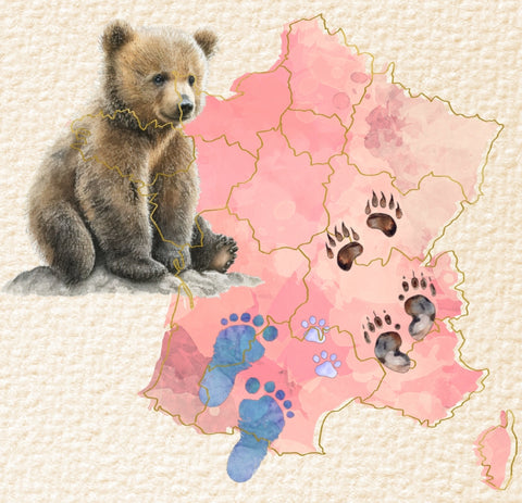 Bear Map France 