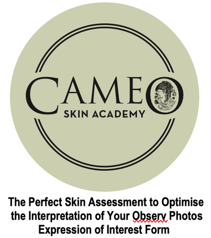 Cameo Skin Academy 3