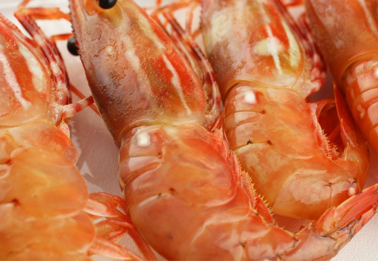 BC_Spot_Prawns_Fresh_Wild