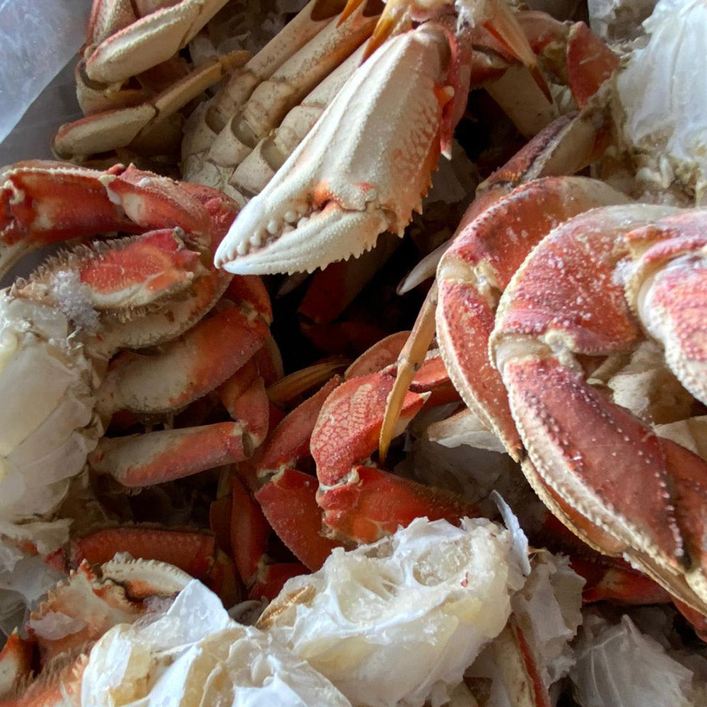 dungeness crab clusters