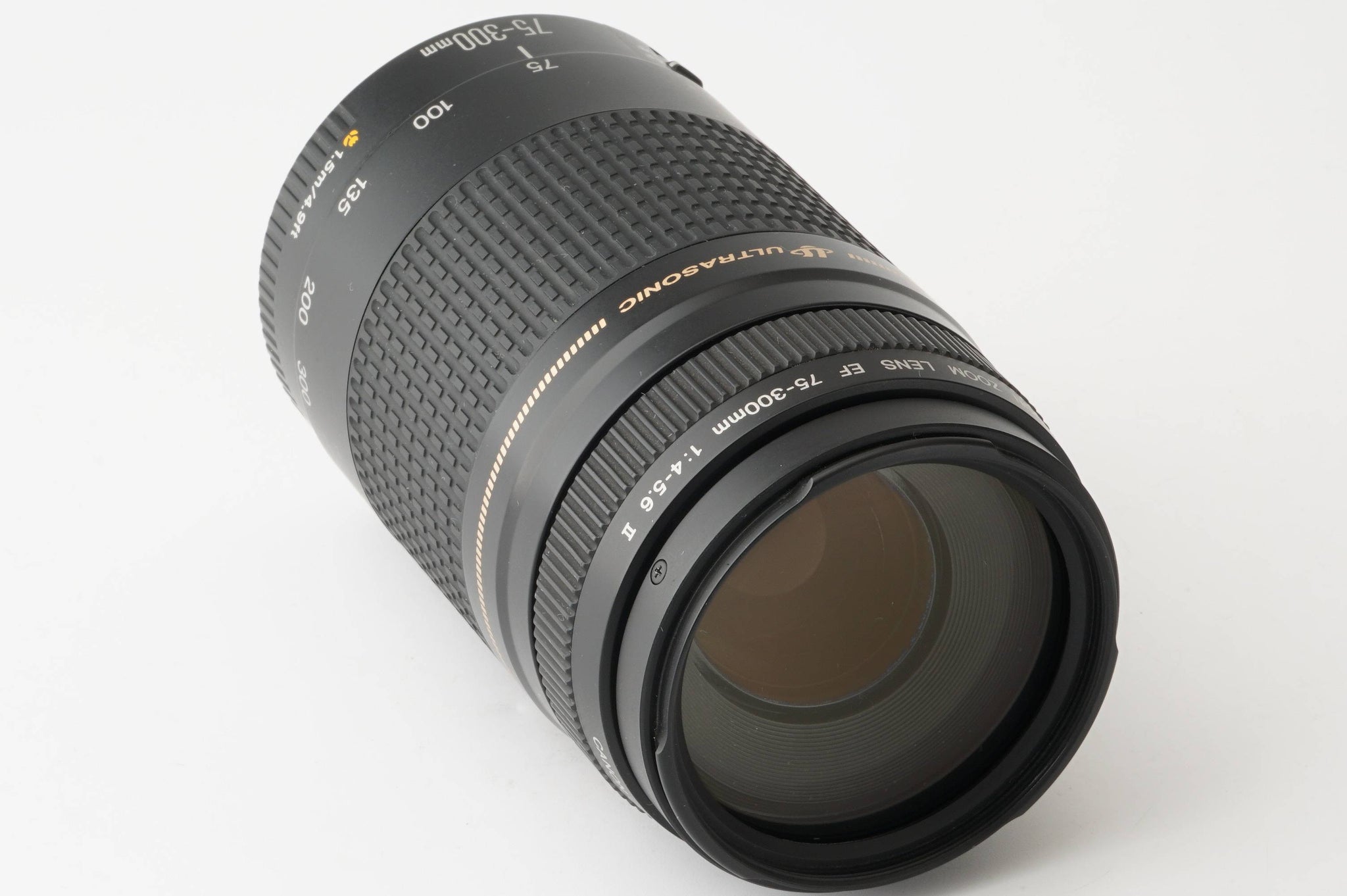 キヤノン Canon EF 75-300mm F4-5.6 レンズ(ズーム) | endageism.com