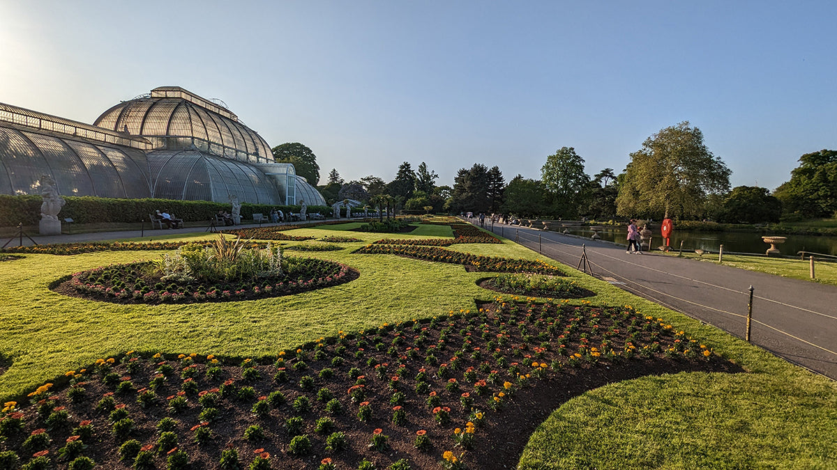 The glasshouse and garden beds at Kew.