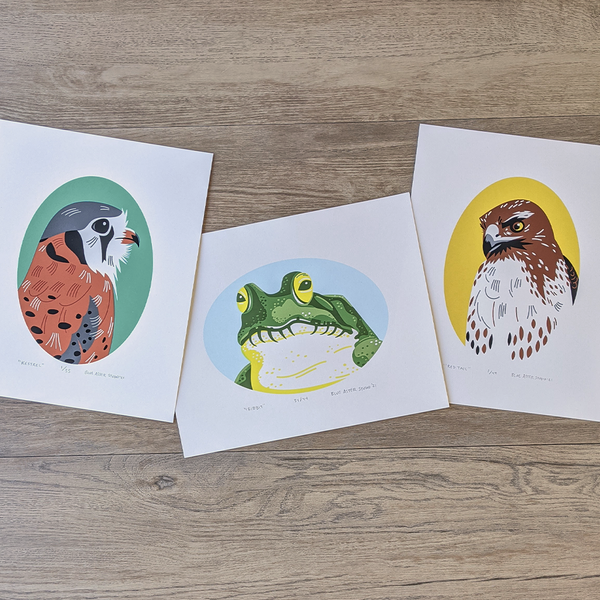 Three screen prints by Blue Aster Studio including a kestrel, frog, and red-tailed hawk