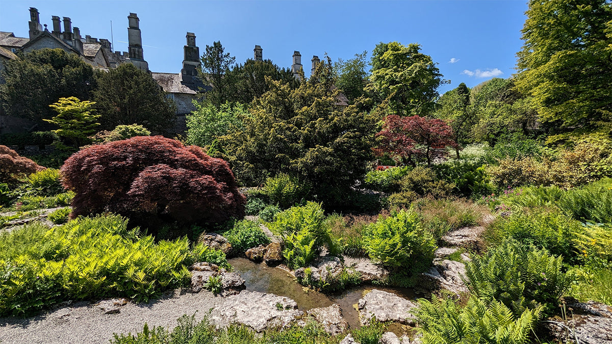 The rock garden at Sizergh Castle