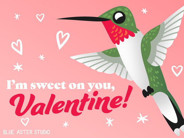 An illustrated Valentine's day card featuring a hummingbird saying "I'm sweet on you, Valentine!"