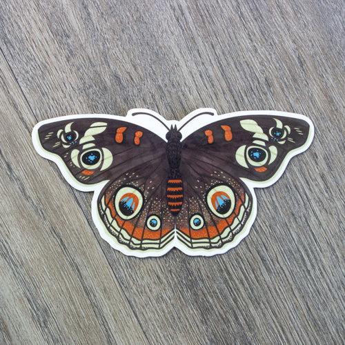 Luna Moth STICKER, waterbottle, laptop decoration- Stickers & Magnets -  GrayDayStudio