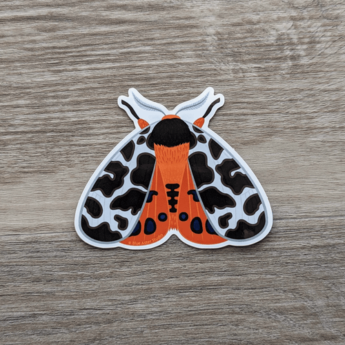 Io Moth Sticker