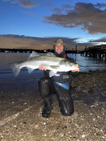 Fly Fishing for Inland Striped Bass - Fly Fisherman