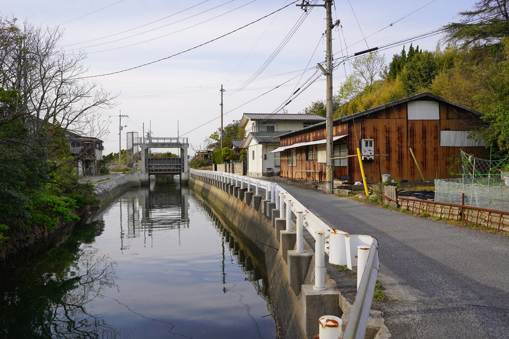 A quiet road on Naoshima this week.