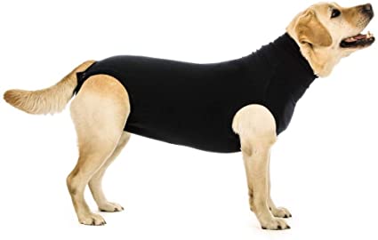 Suitical Recovery Suit for Cats - Healthy Pets HQ