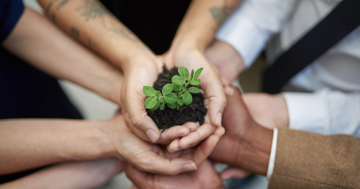 Business people hands together while holding a plant