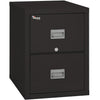 Image of Fire King 2 Drawer Patriot Vertical Fireproof File Cabinet 2P1825-C