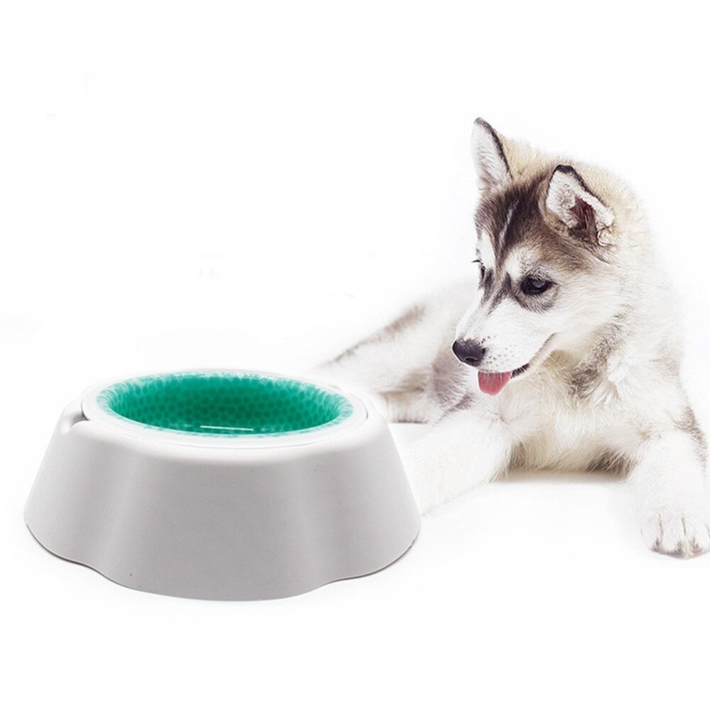 Plato Para Mantener El Agua De Perro Fria Frosty Bowl