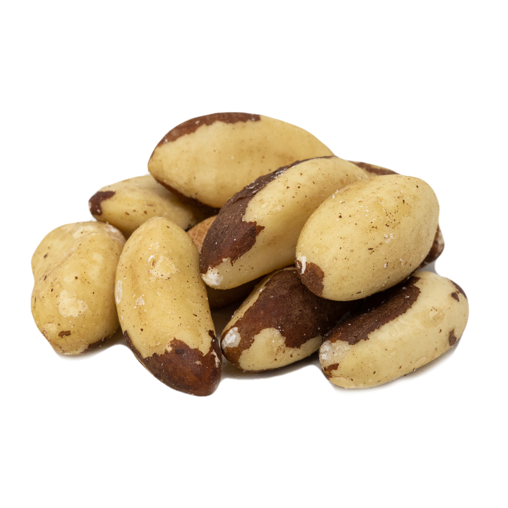 Brazil Nuts, Whole (Raw) 10 oz. - Ferris Nuts Brazil 01